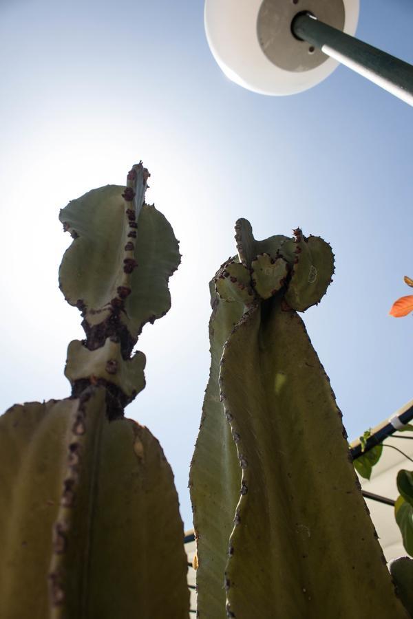 Casa De 5 Dormitorios Y 2 Terrazas Maspalomas  Eksteriør bilde